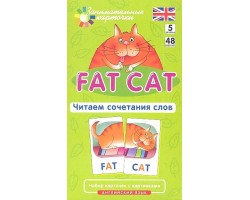 Английский язык. Толстый кот (Fat Cat). Читаем сочетания слов. Level 5. Набор карточек