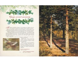 Дары русского леса. Грибы, ягоды и целительные растения