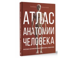 Атлас анатомии человека. Русско-латинско-английское издание