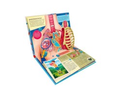 Анатомия: книжка-панорамка