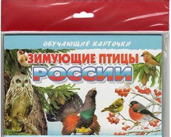 Зимующие птицы России. Обучающие карточки