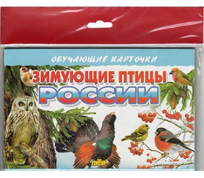 Зимующие птицы России. Обучающие карточки
