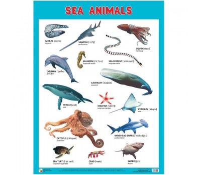 Плакаты (англ). Sea Animals (Морские обитатели)