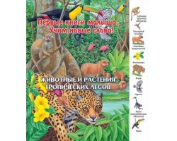 Серия "Первые книги малыша". Животные и растения тропических лесов